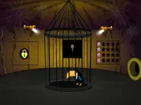 image bg Toucan Rescue