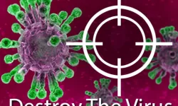 image bg Destroy The Corona Virus