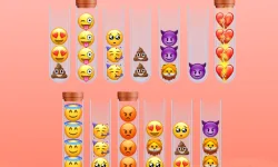 Sort Emoji image