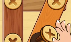 Screw Nuts Bolts: Wood Solve image