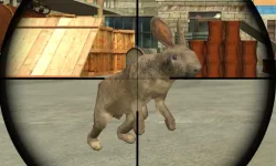 image bg Rabbit Shooter