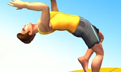Flip Trickster image