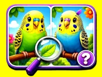 Budgie Spot the Difference image