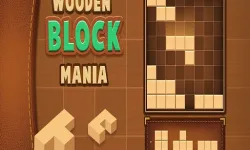 BlockPuzzle image
