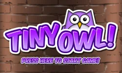Tiny Owl image
