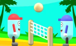 Beach Volleyball image
