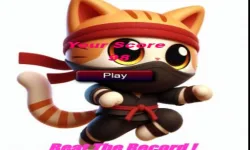 Cat Jumper 1 image