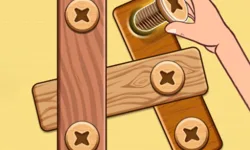 Nut Bolt Puzzle Game image