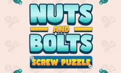 Nuts and Bolts: Screw Puzzle image