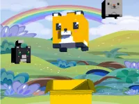 image bg Animals Box Game