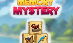 Memory Mystery image