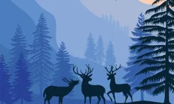 Landscape Paradise Hidden image