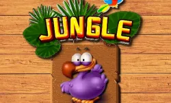 Jungle Matching image