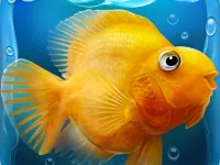Fish tank Aquarium image
