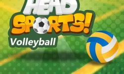 Head Sports Volleyball image