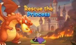 Rescue The Princess image