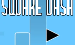 Square dash image