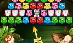 Owl Shooter image
