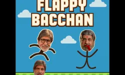 Flappy bacchan image