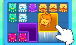 Meow Block Color Collect image