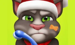 Talking Tom Injfdfury image
