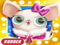 image bg Miss Hollywood: Pet Paradise Adventure Game online