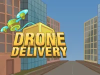 Drone Delivery image