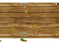 fruit Shoot image