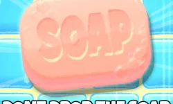 Dont Drop The Soap image
