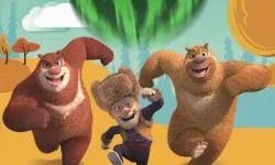 Pop The Bear image