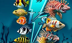 Aqua Fish Rush image