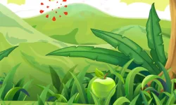 Fruit Cutter image