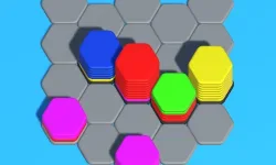 Hexa Sort 3D Puzzle image