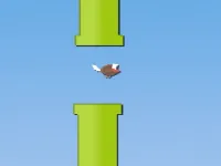 Floppy Fly image