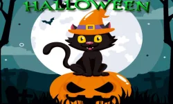 image bg Crazy Halloween