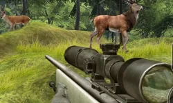 Sniper Hunting Deadly Animal image