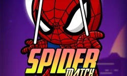 Spider Match image