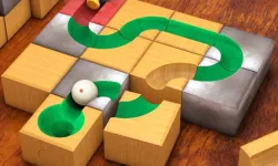 Sliding block, brain, rolling puzzle image