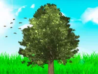 My tree image