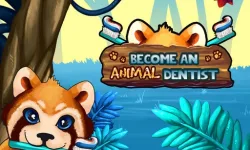 Become An Animal Dentist image