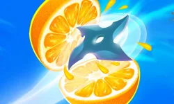 Fruit Slice Juice image