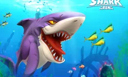 Hungry Shark Arena image