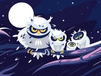 image bg Wild Birds Match 3