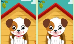 Spot 5 Differences image