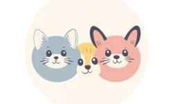 CRAZY ANIMALS image