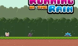 Running in the Rain image