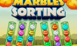 Marbles Sorting image