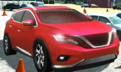 CIty Stunt Driving image