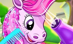 Pony Pet Salon image