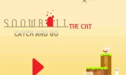 image bg Snowball The Cat Catch and Go